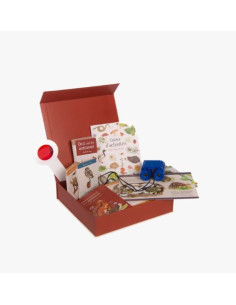 Coffret découverte des... 2