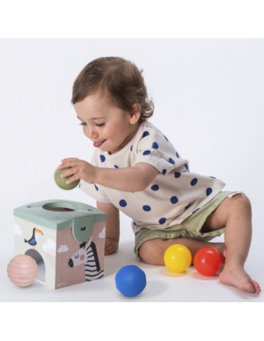 Magic Box  - Savannah