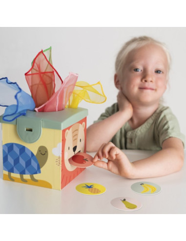 Magic Box  - Savannah