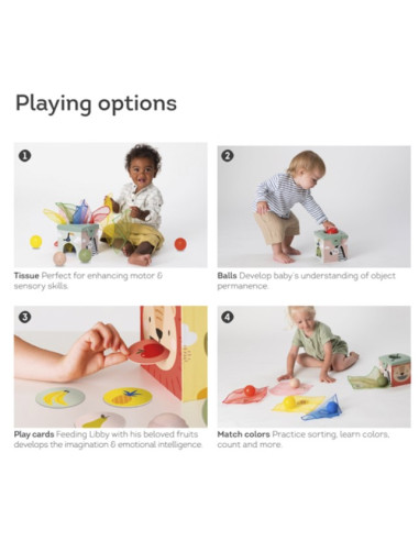 Magic Box  - Savannah