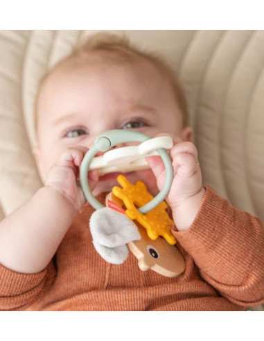 Anneau d'activités sensorielles Done...