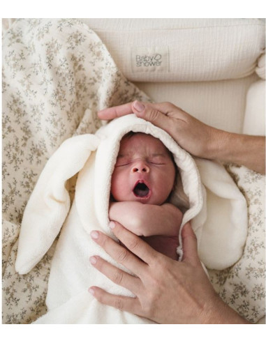 Lot de 2 tetras Minimax - Miley