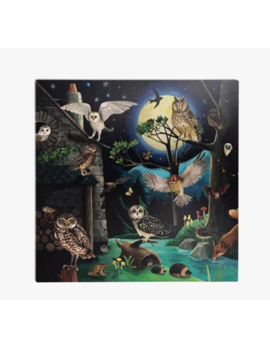 Coffret découverte des Oiseaux 