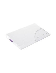 Plan incliné Maxi (6-18 mois) 2