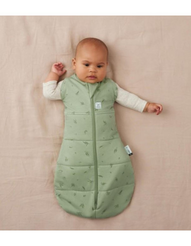 Gigoteuse d’emmaillotage ErgoPouch...