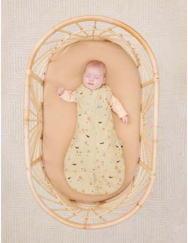 Gigoteuse d’emmaillotage ErgoPouch...