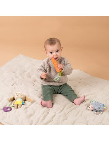 Kit de jouets d'activité - Urban Garden