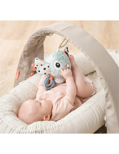 Jouet d'activités sensorielles Done...