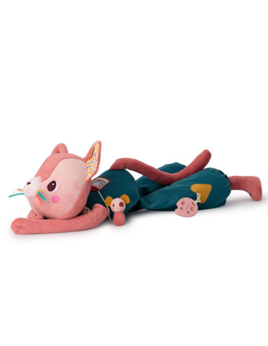 Grand chat découverte - Jeanne