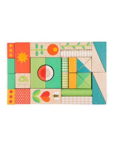 Chariot de marche en bois et blocs