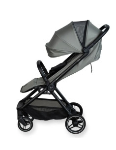 Buggy Easyfold - Moss 2