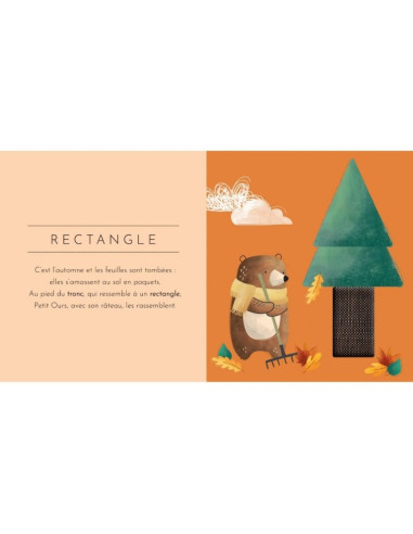 Livre touche à tout - Les formes