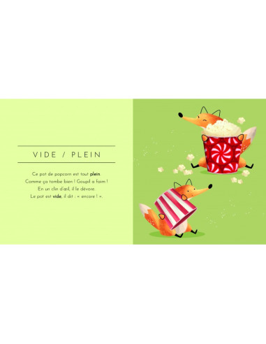 Livre touche à tout - Les contraires