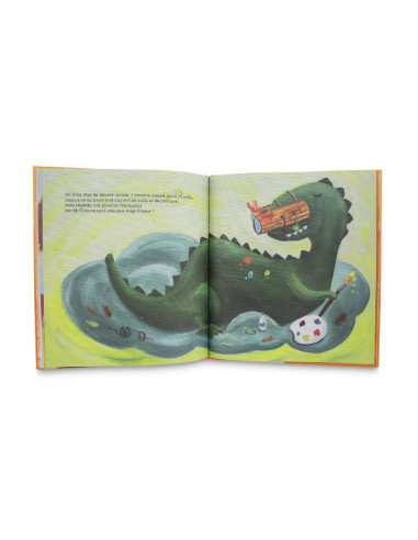 Livre de conte - Le rêve du renard...