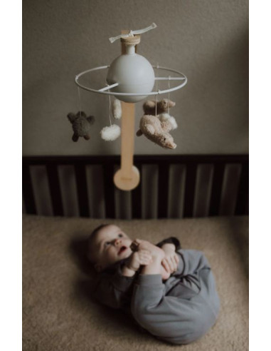 Mobile musical - Liva