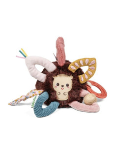 Anneaux sensoriels - Léon...