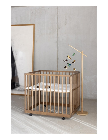 Parc Mori - Chataigner Parc Mori - Chataigner