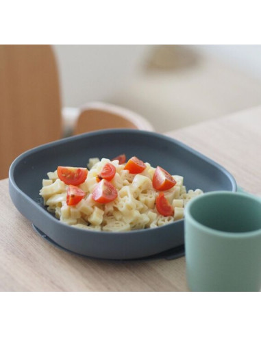 Assiette ventouse silicone - Gris