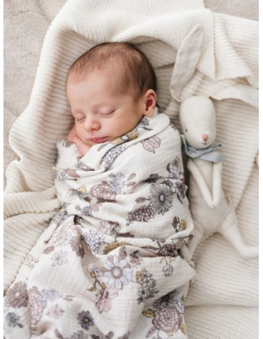 Lot de 2 tetras Minimax - Bardot