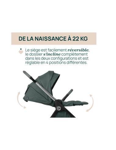 Poussette Chicco Bellagio - Fir Tree