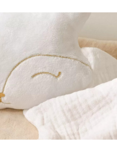 Doudou Bola - Renard