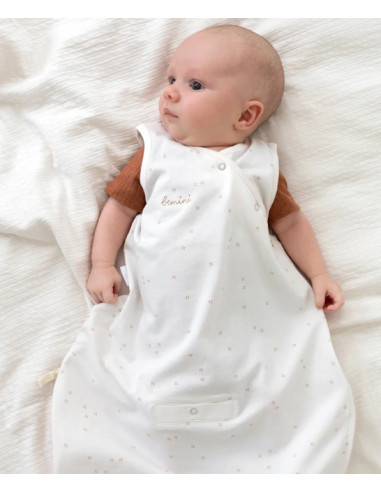 Gigoteuse Magic Bag 1-4m été Jersey -...