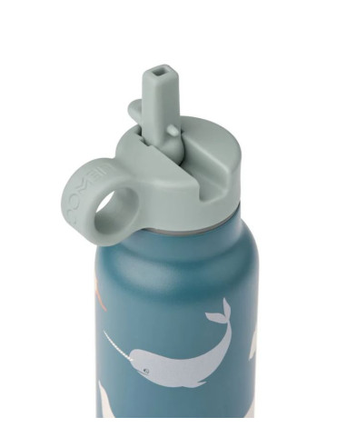 Gourde en inox 350ml  - Artic...