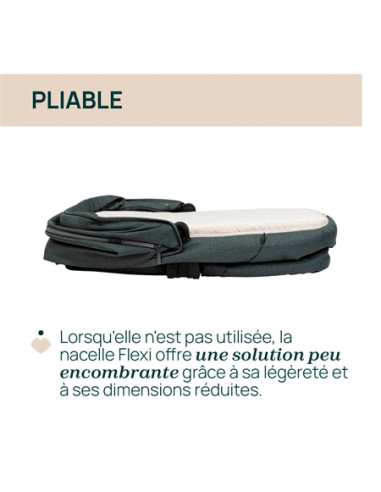 Nacelle Chicco Flexi - Fir Tree