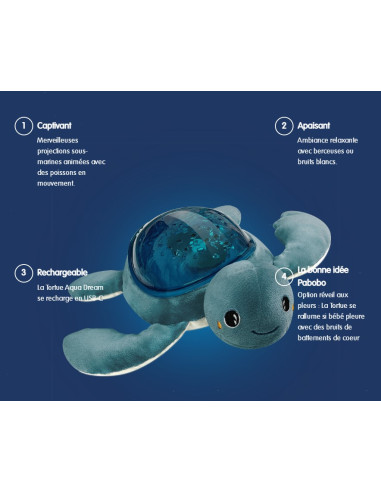 Pabobo - Aqua Dream - Tortue USB