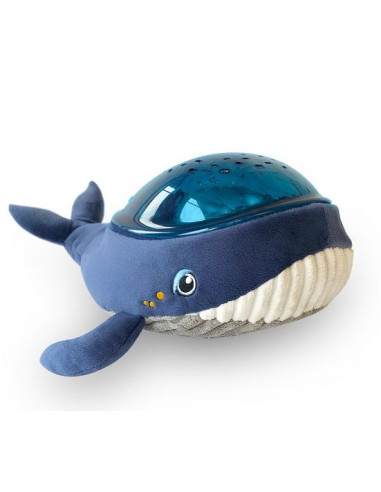 Pabobo - Aqua Dream - Whale