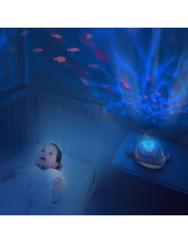 Pabobo - Aqua Dream - Whale