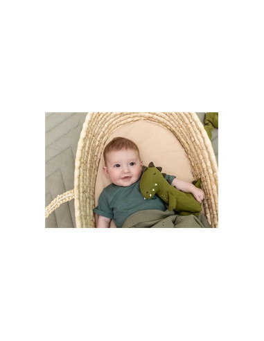 Peluche Small - Mr Dino