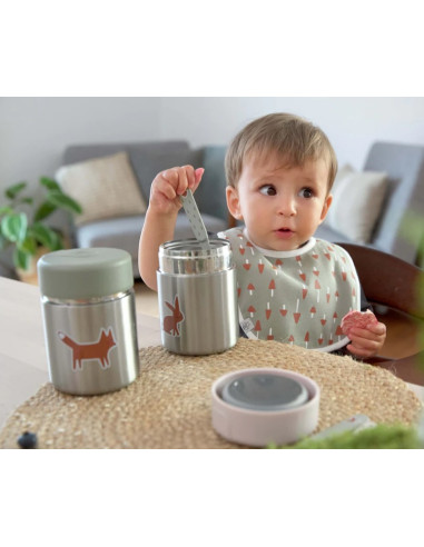 Thermos repas 315ml inox - Little...