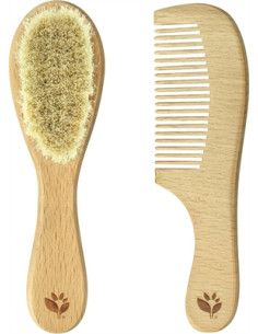 Set brosse et peigne