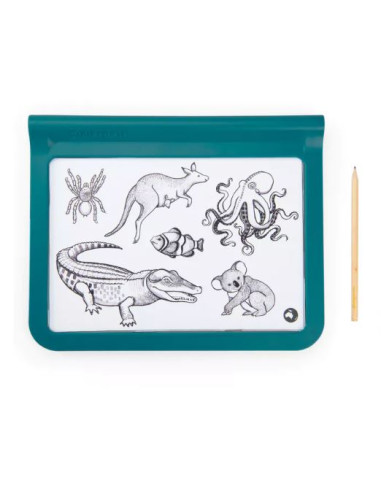 Tablette Lumineuse - Tout autour du...